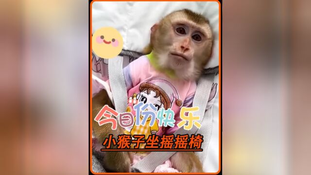 小猴子卡卡用上了妹妹的摇摇椅 摇阿摇 摇阿摇 2个字 舒坦