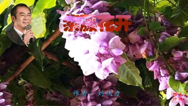 《紫藤花开》作者:刘伙力 诵读:大连伙计