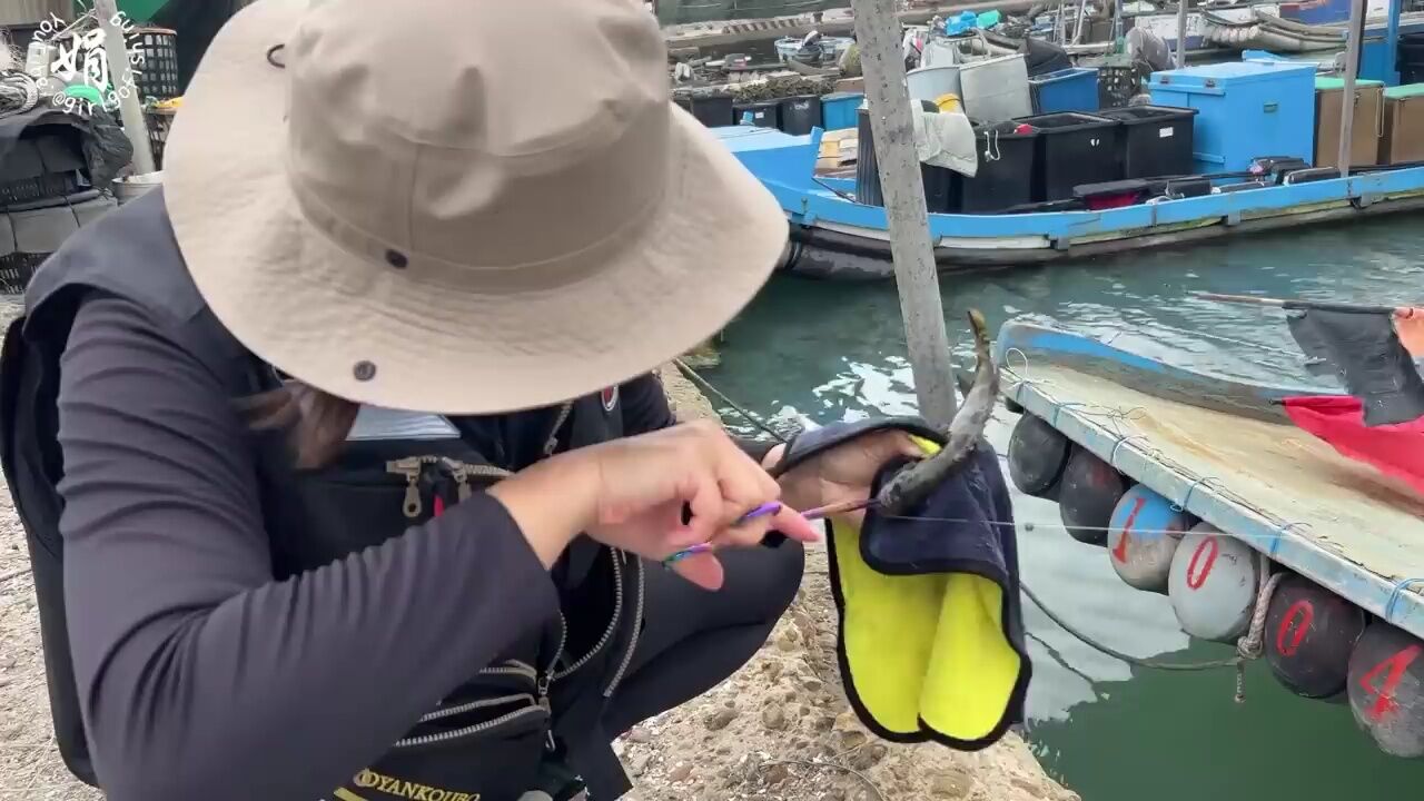 前打钓鱼,石斑鱼,红槽鱼,牛尾鱼,大眼海鲢,又是一个好钓点_腾讯视频