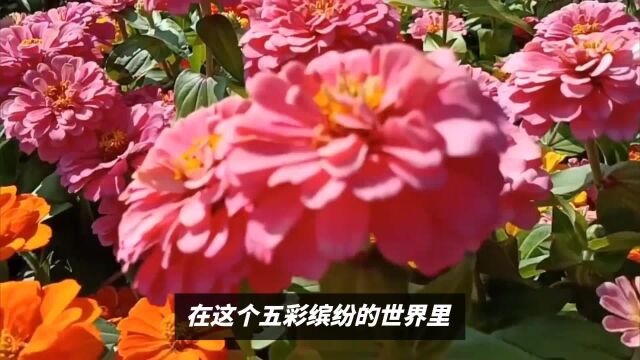 6月好运来,7月横财如雨的4个生肖