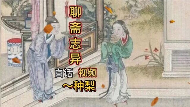 聊斋故事(6):种梨