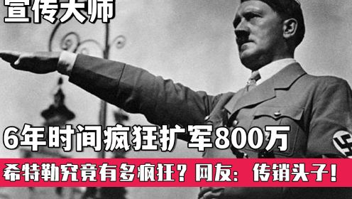 6年时间疯狂扩军800万，希特勒是如何做到的？网友：传销头子！ 