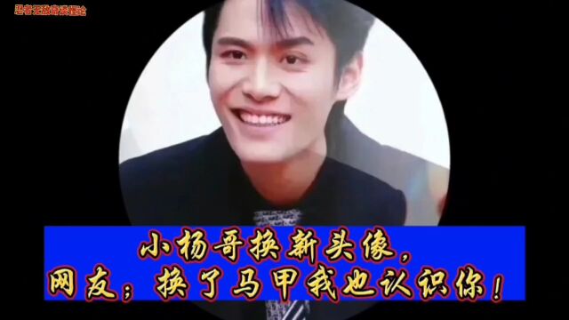 小杨哥换新头像,网友;换了马甲我也认识你!