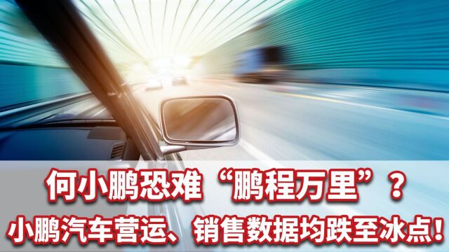 何小鹏恐难“鹏程万里”?小鹏汽车营运、销售数据均跌至冰点!