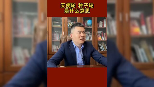 山东股章:企业股权设计 天使轮 种子轮的介绍是什么?