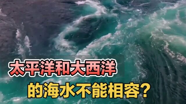 为什么太平洋和大西洋的海水不能相容ⷀ