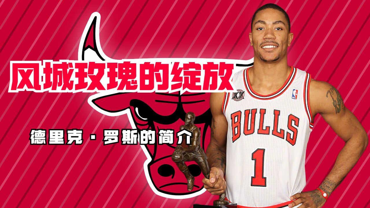 风城玫瑰的绽放,德里克·罗斯的简介