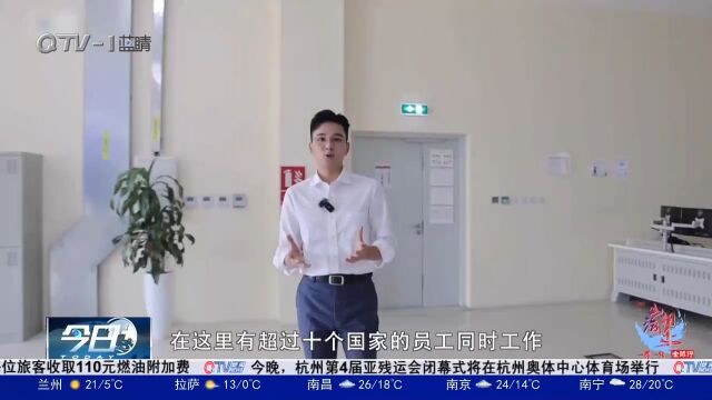 走进阿布扎比码头,揭秘青岛港扎根中东经验