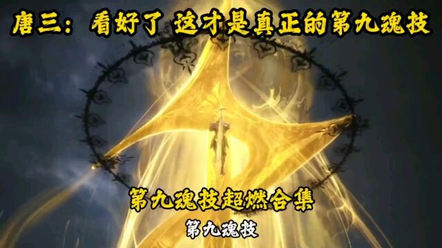 《斗罗大陆》第九魂技超燃合集!