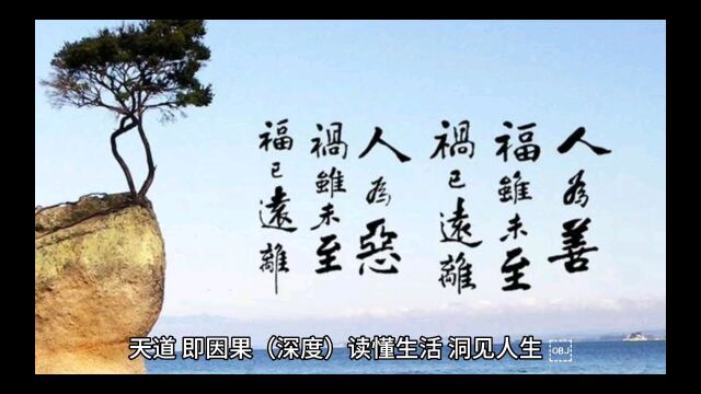 天道,即因果(深度)