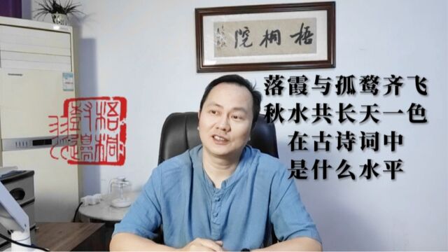 落霞与孤鹜齐飞,秋水共长天一色——这句在诗词中是什么水平?