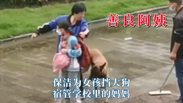 善良阿姨是所有孩子的妈妈,保洁为女孩挡大狗,宿管学校里的妈妈