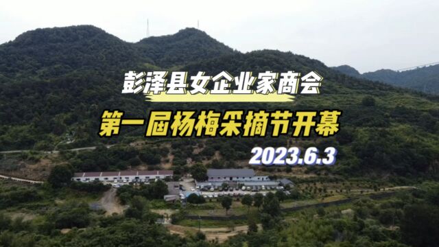 人气爆棚!彭泽县女企业家商会携手金白沙杨梅基地第一届杨梅采摘节盛大开幕