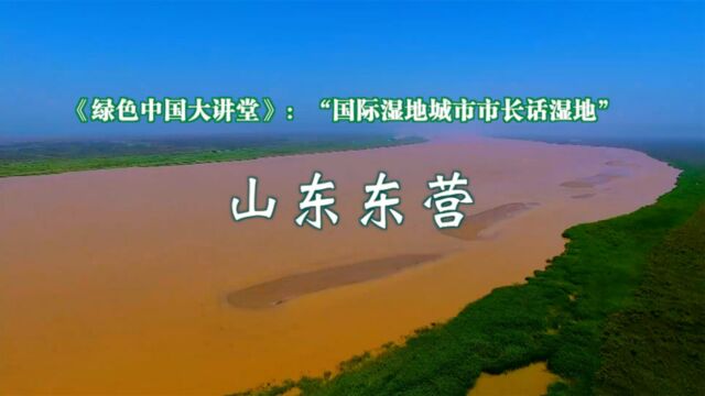 国际湿地城市市长话湿地——山东东营