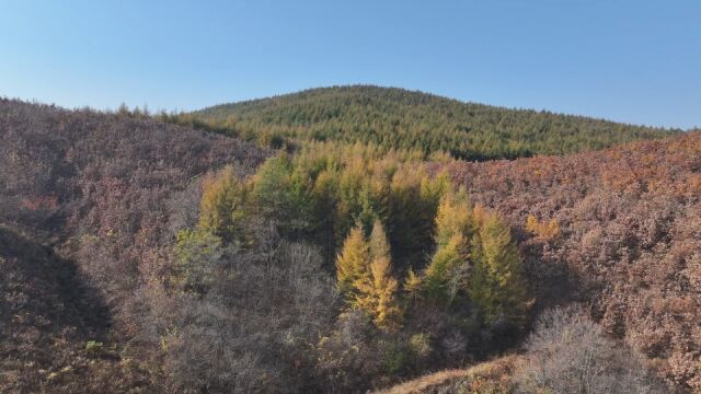 辽宁丹东凤城:被夏天暴雨伤过的三义庙村,治愈后的深秋更惊艳!