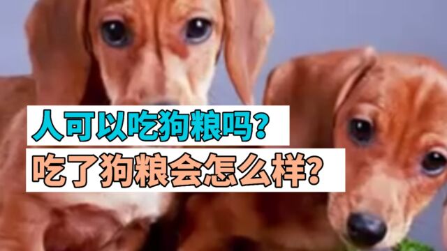 人可以吃狗粮吗?吃了狗粮会怎么样