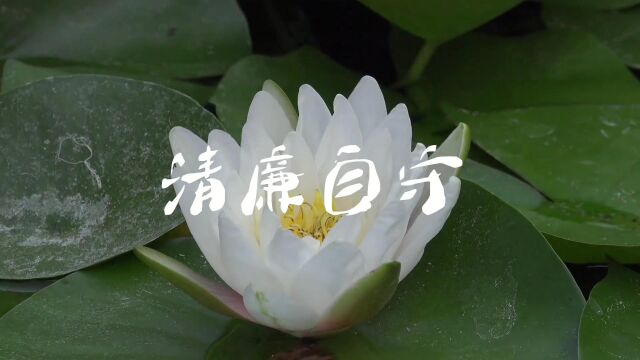 《清廉自守,志行高洁》