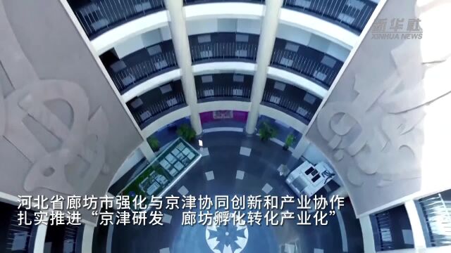 河北廊坊:强化协同创新赋能高质量发展