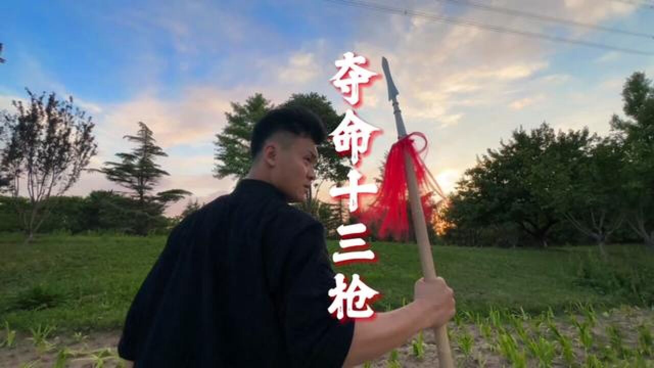 奪命十三槍,真功夫不需要特效#奪命十三槍 #高手在民間 #武術 #功夫