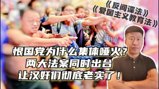 “恨国党”终于老实了!两大法案同时出台,让汉奸们哑口无言!