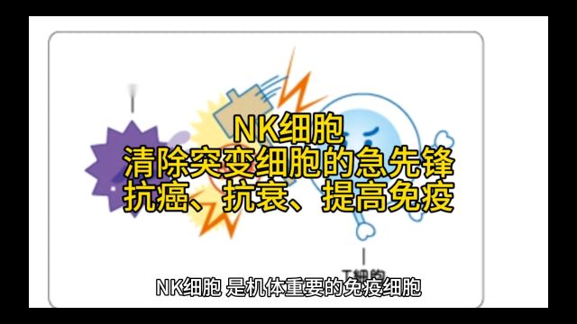 NK细胞清除突变细胞的急先锋,抗癌、抗衰、提高免疫