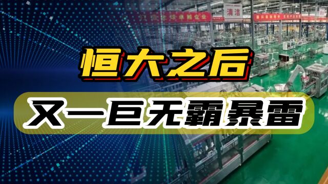 恒大之后,又一家全球500强集团暴雷,掌舵人被称为真正的隐形富豪