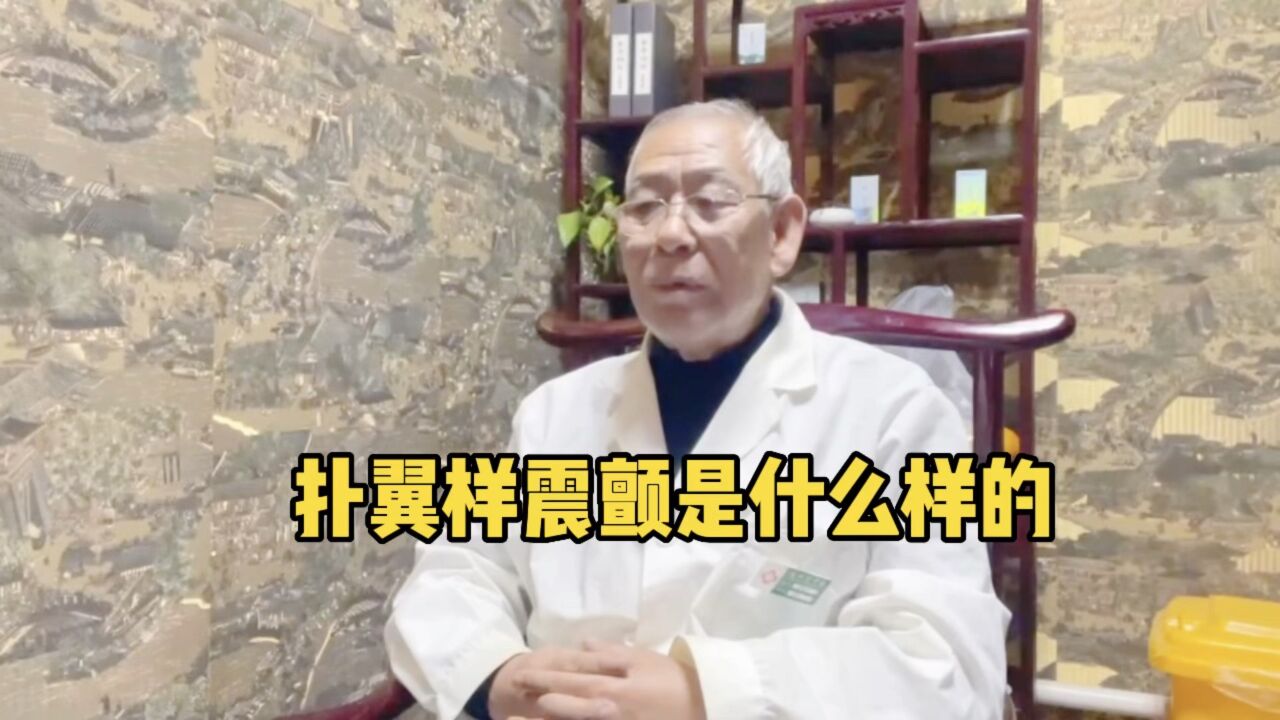 扑翼样震颤是什么样的
