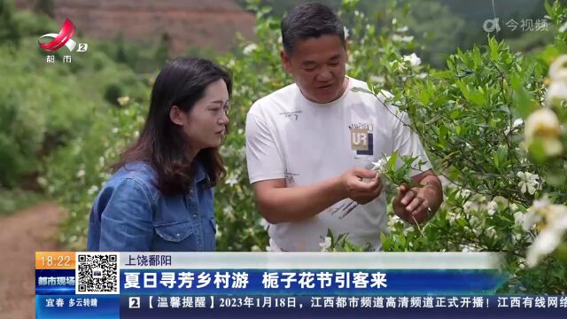 上饶鄱阳:夏日寻芳乡村游 栀子花节引客来