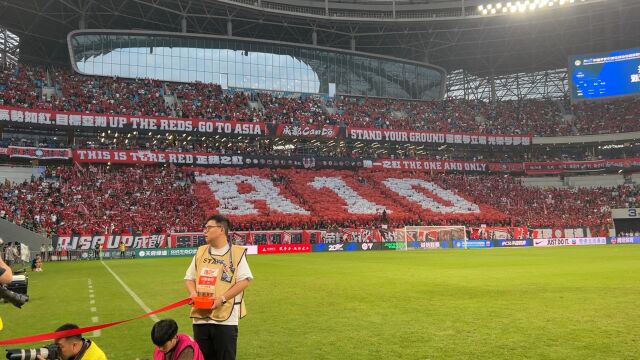 R10,成都球迷tifo