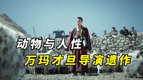 《雪豹》拿下东京国际电影节最佳影片，万玛才旦导演遗作！