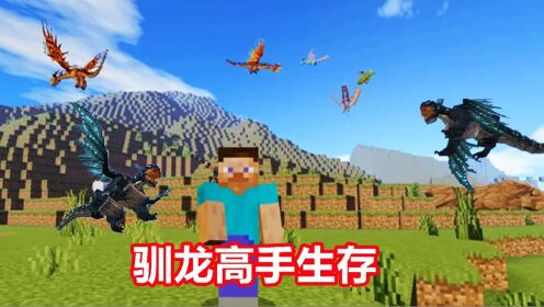 我的世界驯龙生存7：更新出新飞龙，可以烧烤龙肉_高清1080P在线观看平台_腾讯视频