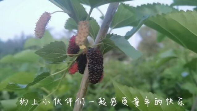 多彩视点丨周末去哪玩?这些好去处别错过→