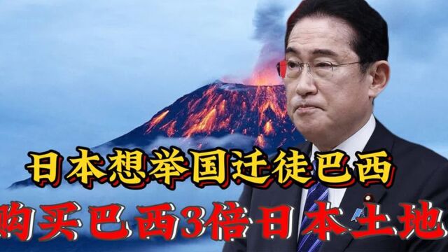 日本在巴西大量买地,巴西开始警惕移民,巴以冲突说明了一切