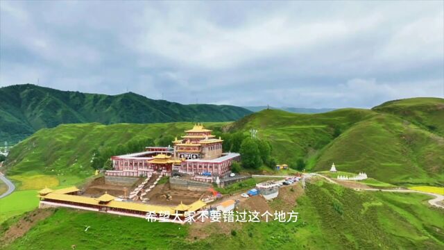 下川西自驾邂逅八美惠远寺最美花海,小众而不失大美.居高临下山卡寺,山川美景尽收眼底#大美甘孜 #川西美景 #川西旅游攻略 #惠远寺#山卡寺