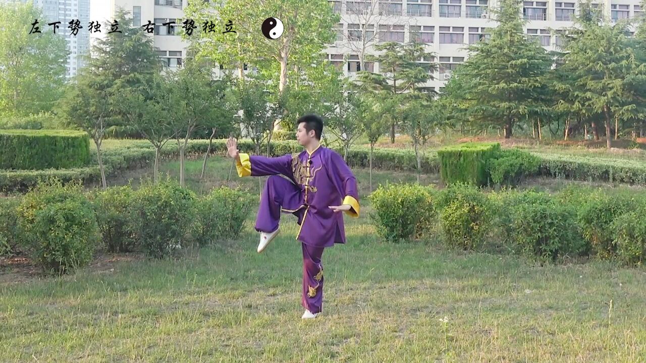 24式太极拳第六组动作教与学：左下势独立、右下势独立_高清1080P在线观看平台_腾讯视频