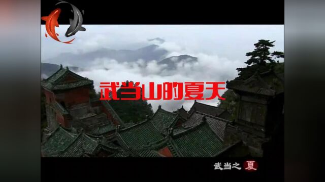 武当之夏—带你网上云游的夏天风景#武当山 #武当山美景 #武当山风景 #武当山金顶 #武当山夏天风景