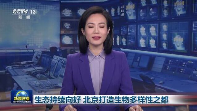 森林覆盖率达44.8% 城市绿化覆盖率达49.3% 北京生态环境持续向好