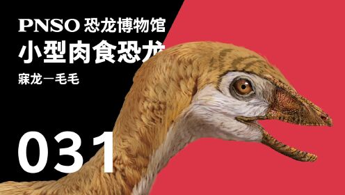 第12集睡姿像鸟的恐龙——寐龙毛毛_第12集睡姿像鸟的恐龙——寐龙毛毛_少儿_动画片大全_腾讯视频
