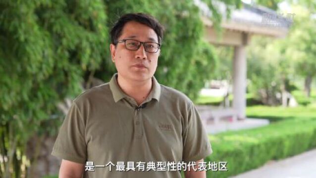 解码文化自信的城市样本|斯文在兹盛千载——解码“孔子故里”曲阜的文化自信样本