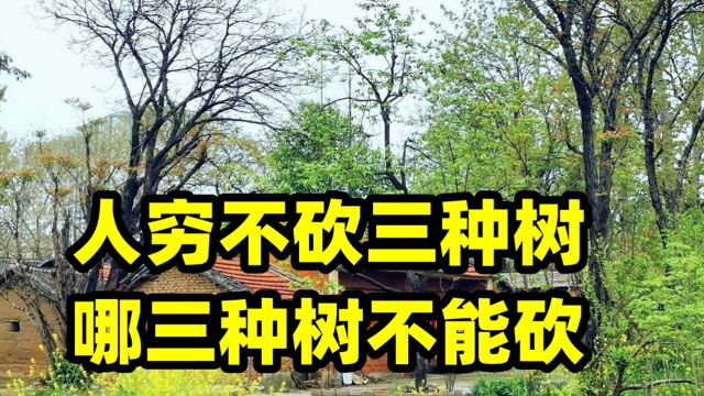 俗语“人穷不砍三种树,后代子孙得佑护”,是哪3种树?有何道理