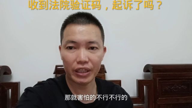 收到法院验证码,起诉了吗?