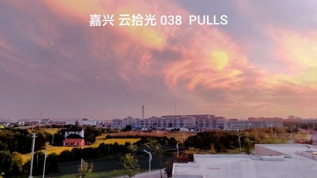 紫色天空 相伴入夜 拍摄于嘉兴杨庙大道