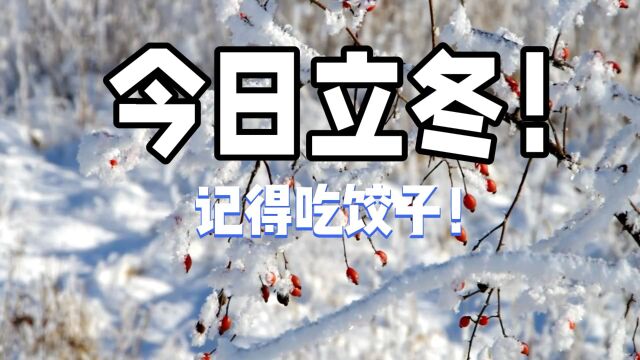 今日立冬!2023年的立冬踏雪而来,记得吃饺子呦!