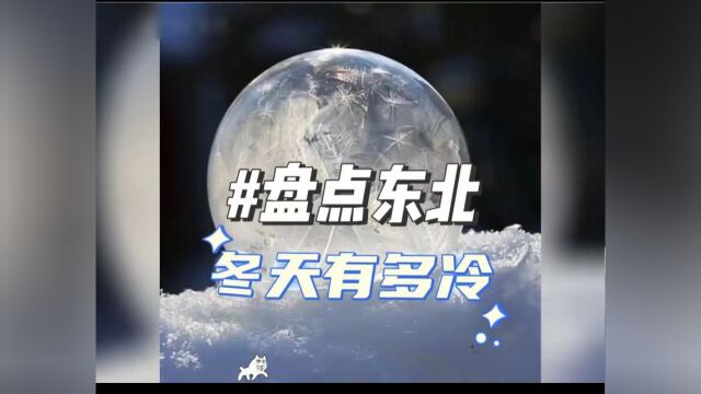 盘点东北的冬天到底有多冷,东北连狗都穿貂,南方人看了瑟瑟发抖