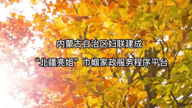 内蒙古自治区妇联建成“北疆亮姐”巾帼家政服务程序平台