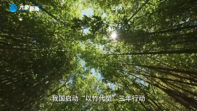 我国启动“以竹代塑”三年行动