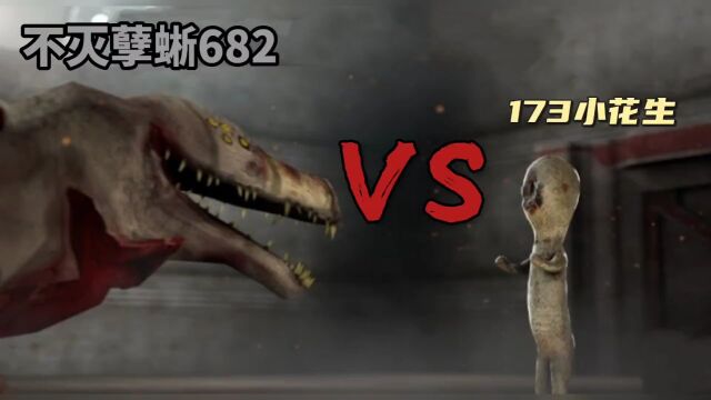 不灭孽蜥682vs173小花生