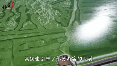 中国最值钱的湖泊：价值超12万亿，军队24小时看守，它有何特殊？#盐湖#察尔汗盐湖 3
