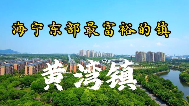 实拍海宁东部黄湾镇,据说嘉兴地区杭州地区在这里建设很多工厂!