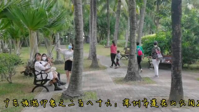 广东旅游印象之二百八十六:深圳市莲花山公园2